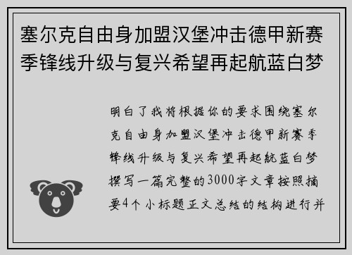 塞尔克自由身加盟汉堡冲击德甲新赛季锋线升级与复兴希望再起航蓝白梦